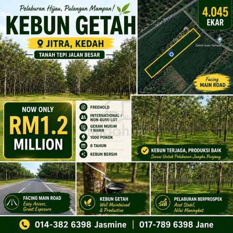 Agriculture Land / Kebun Getah @ Jitra, Kedah For Sale 1