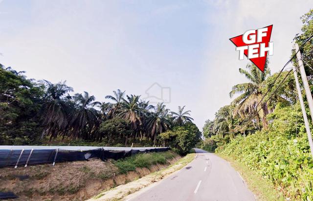 3.25 acre Residential Land | Bumi Lot | Bukit Merah |Near Kerian|Perak 1