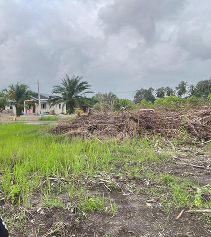 Tanah 1.5 Ekar Kg Raja, Besut – Untuk Dijual 1