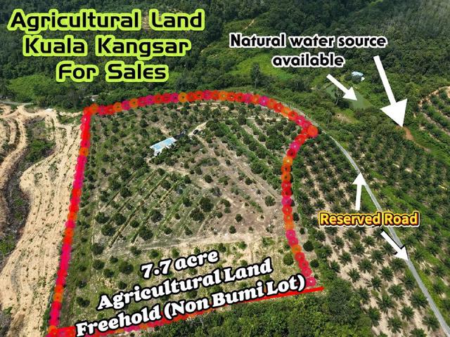 Kuala Kangsar / Durian Orchard Land For Sale / 7 Acres Plus Land 1