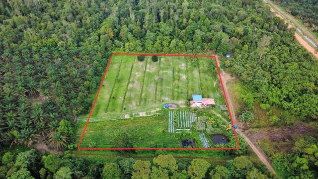 Tanah Dusun Durian 3 Ekar di Chini, Pekan untuk Di Jual 1