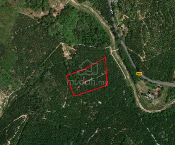Tanah 4.25 Ekar Brisu Alor Gajah 1