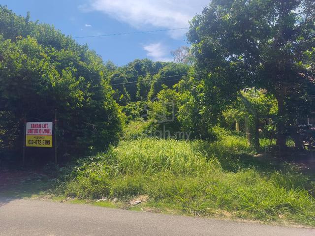 Tanah Murah Kg Kutang untuk Dijual 1