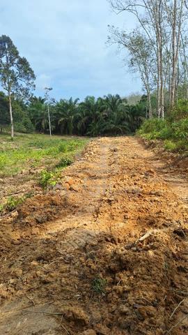 Tanah dah siap clearing di Kerdau utk dijual - freehold,open title 1