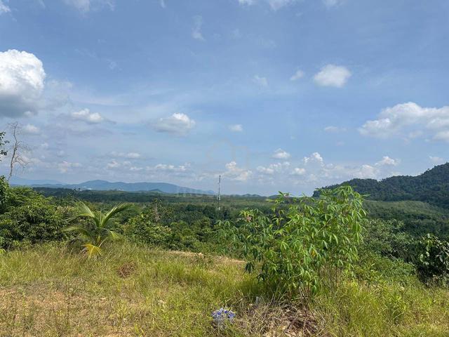 ( Tanah Bukit ) 🔥Freehold / Anak Sungai / Gemenceh / Negeri Sembilan 1