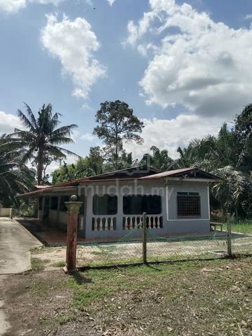Tanah 1 ekar siap rumah | Benut | Freehold 1