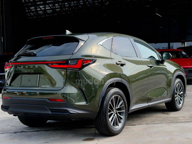 2023 Lexus NX250 2.5 BASE/Army Green/Dim/4Cam - 3