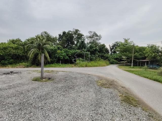land for sale 1