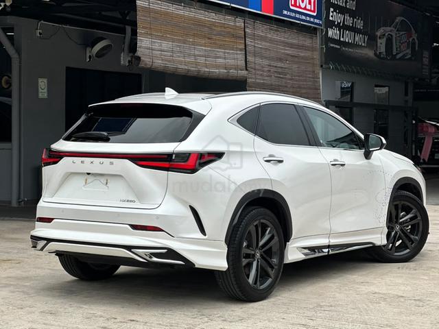 2023 Lexus NX250 2.5 VERSION L (A) MODELISTA KIT - 2