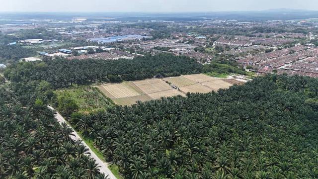 Converted Medium Industrial Land Kulai, Johor, Neaby Industrial Park 1