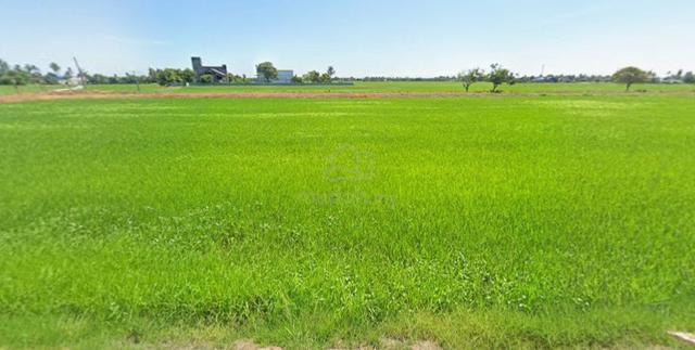 Tanah Sawah Padi 3.24 Hektar Untuk Dijual di Yan, Kedah (Geran Mukim) 1