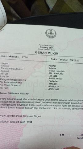 Tanah Sawit Untuk Dijual 1
