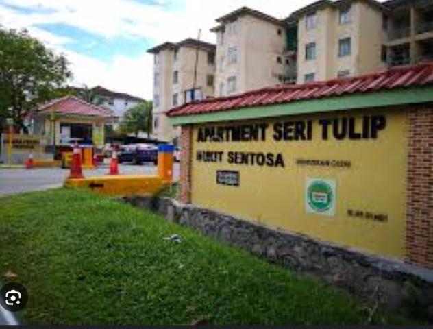 Apartment Seri Tulip 1