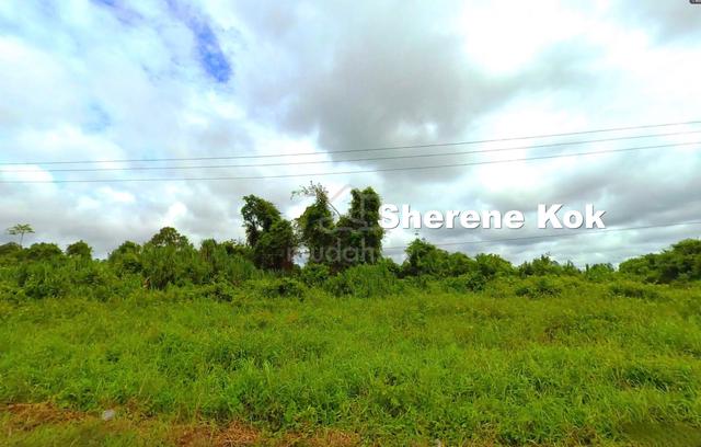Agriculture Land Asajaya Telok Sabang 1