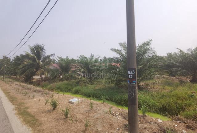 Selangor Kuala Selangor Agricultural Leasehold Land For Sale 1