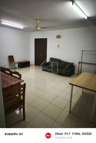 Damiana Apartment 1