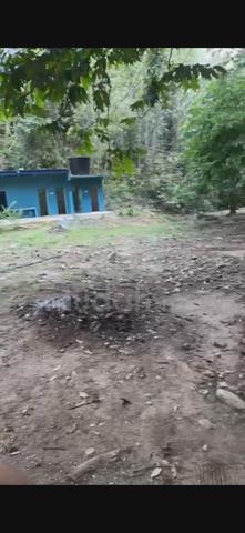 Tanah Dusun Kuala Pansoon, Bt22, Hulu Langat, Selangor. 1
