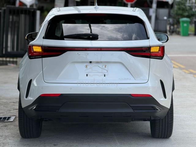2023 Lexus NX 250 2.5 VERSION L SROF 4CAM 34K KM - 4