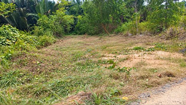 tanah 0.16 acre lebih d kinarut 1