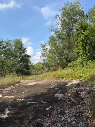 Kuantan Main Road Agricultural Flat Land , Below Bank Value 1