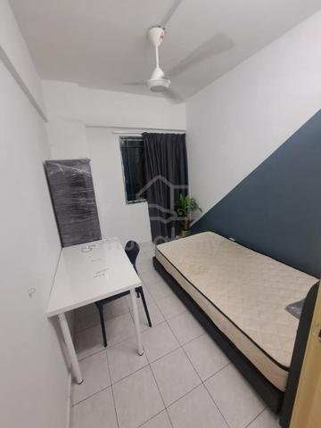 Male Single Room @ Pelangi Dsara Apartment Blk F, walk to MRT, Curve 1