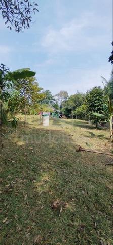 Tanah untuk DIJUAL!!! 1