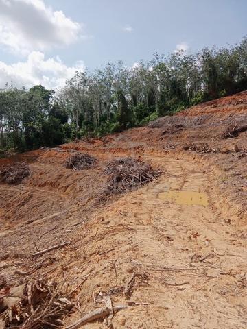 Tanah untuk di jual 1