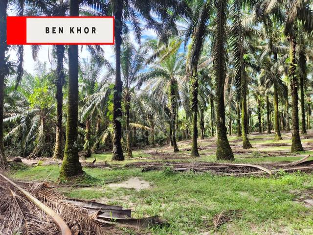 14.256 acres | Agricultural land |inner Part | Selama | PERAK 1