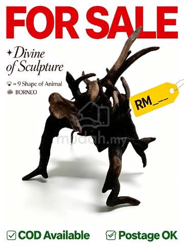 Carousel Image