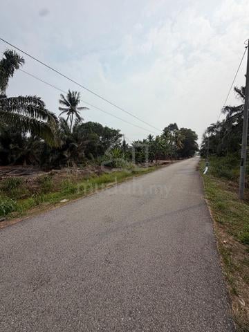 Tanah Sawit Murah/Sg Naga/Investment 1