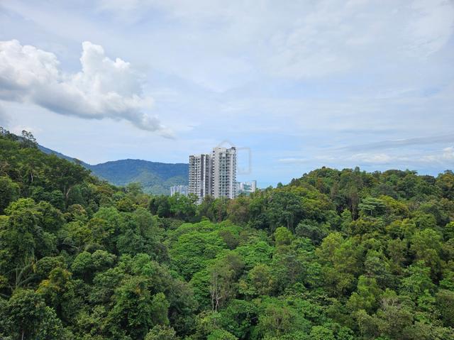 Tri Pinnacle 1