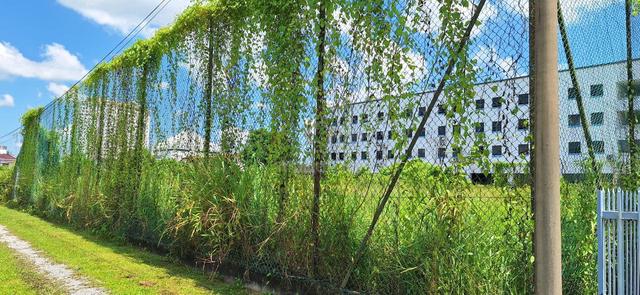 Detached Lot, Jalan Nanas 1