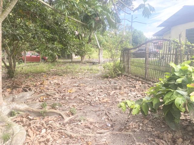 Tanah kebun buah alor gajah siap berpagar 1