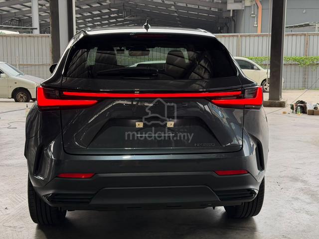 2022 Lexus NX250 2.5 VERSION L 15k km Gray Offer - 3