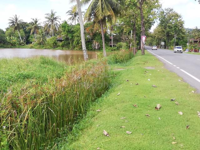 Tanah Pembangunan di Kangar, Perlis 1