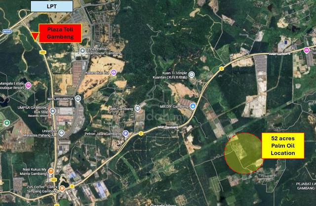 52 acres Palm Oil Land, Gambang Kuantan Pahang - MATURED AGE‼️ 1