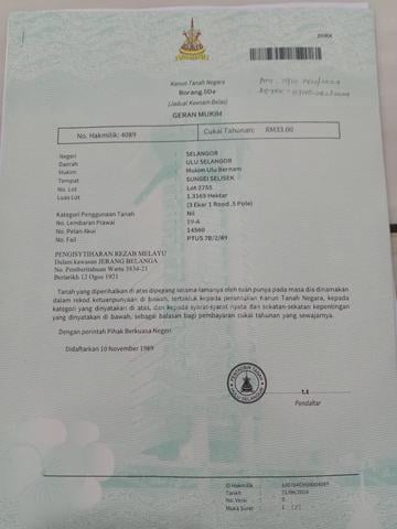 Ladang Sawit Kg.Gesir Tengah Sg.Selisek 1