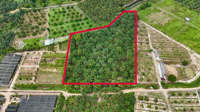 4acres NONBUMI Agricultural Land @ Putera Indah, Batu Pahat 1