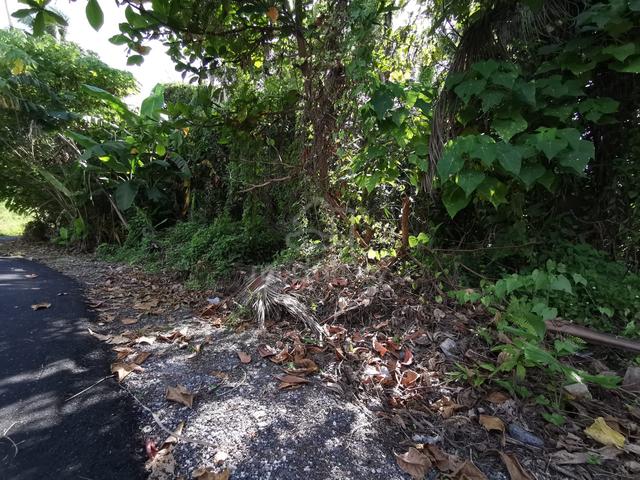 Penang Balik Pulau Residential Freehold Land For Sale 1