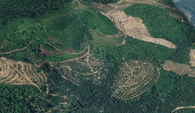 4 EKAR Tanah Pertanian di Kampung Alur Gading, Maran, Pahang 1