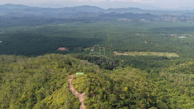 28 Acres Freehold Hilly Agriculture Land Bilut Hills Raub Bentong 1