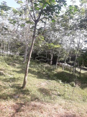 9 ACRE NON BUMI LOT FREEHOLD Tanah Siliau Rantau 4
