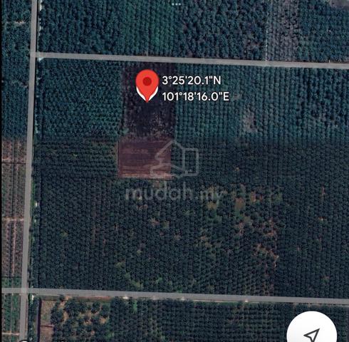 MALAY RESERVE n 5 ACRES LAND BESTARI JAYA OFF JALAN RAJA MUSA SELANGOR 2
