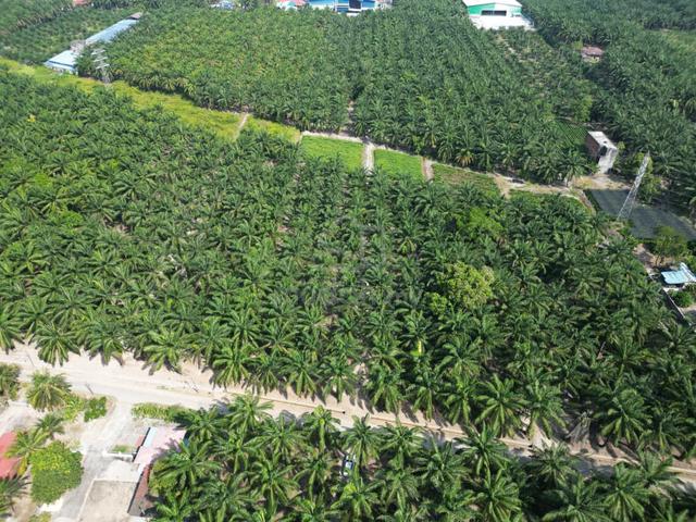 Sitiawan Lrg 3 Kampung Cina Near Taman Permatang Maju Land For Sale 1