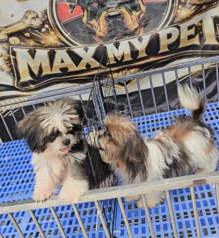 Carousel Image