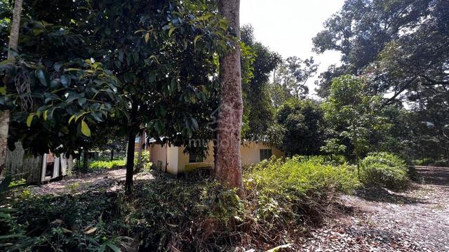 8 EKAR Tanah Dusun Durian & Buah Batu 18 Kampung Jawa Hulu Langat 1