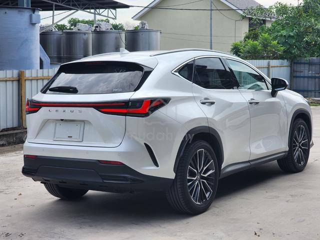 Lexus NX 250 2.5 LUXURY (A) FREE 5 Yr Wty Now 225k - 3