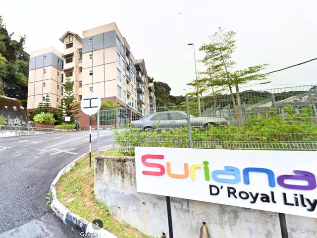 Suriana D'Royal 1