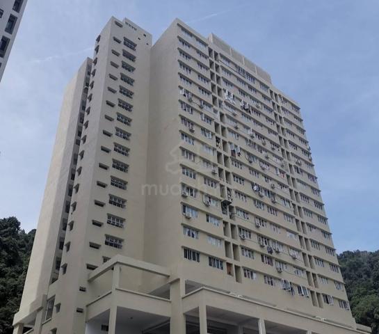 E Garden 1