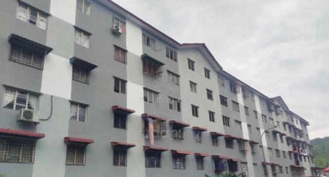 Teratai Apartment (Taman Bunga Raya) 1